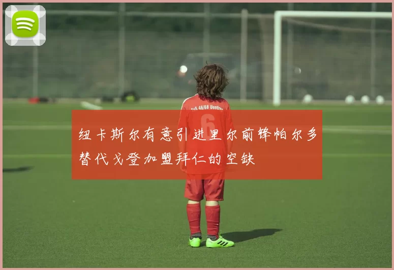 纽卡斯尔有意引进里尔前锋帕尔多替代戈登加盟拜仁的空缺